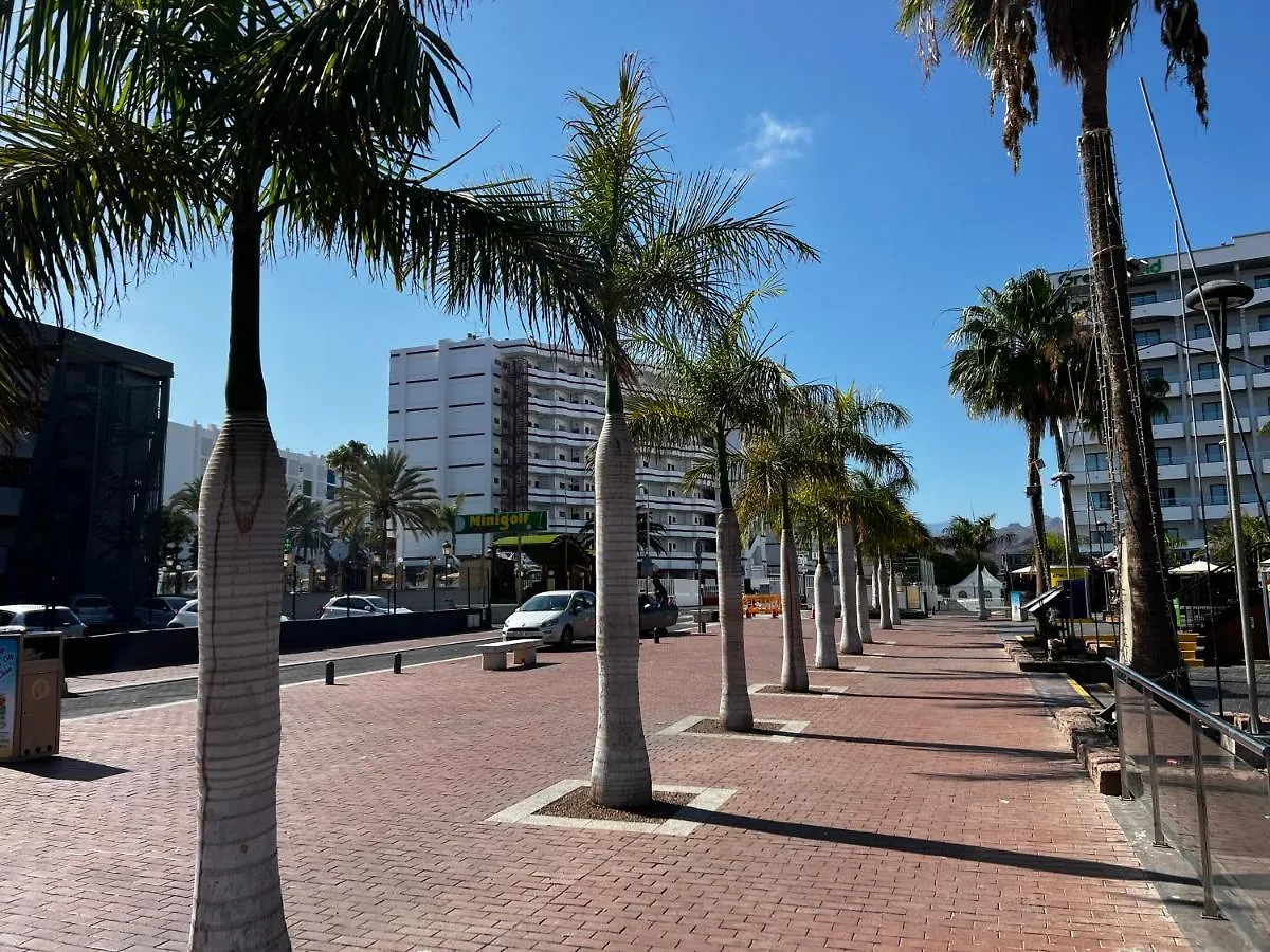 Apartment Agaete Parque Av De Tenerife Maspalomas Maspalomas  Spain
